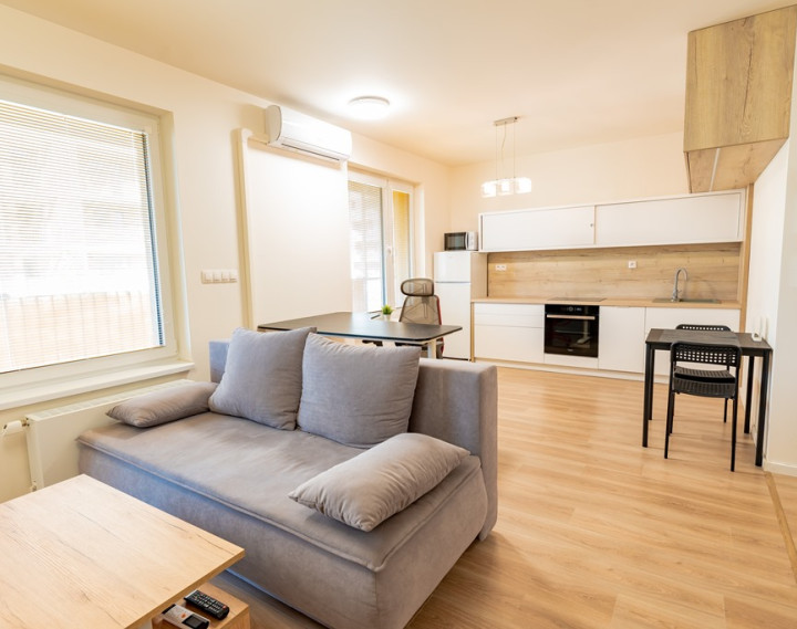 BORY, 1,5-izb byt s lodžiou, 54m², D. Tatarku, od 21.2.2026