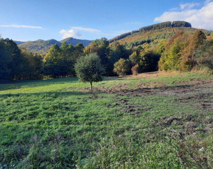 Veľký rekreačný pozemok v obci Zubák,  3611 m2