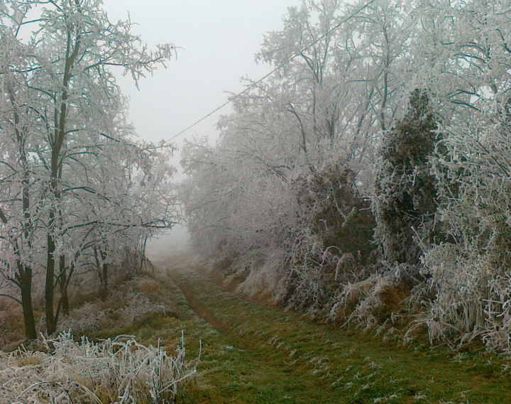 Na predaj Pozemok Oščadnica, Veľká Rača 1229 m2