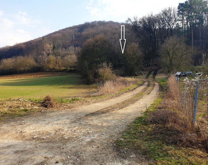 Rekreačný pozemok pri lese 1 139 m2 - možnosť výstavby chatky - Trenčianske Bohuslavice