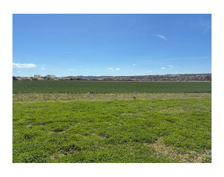 Na predaj pozemok Orná pôda Dežerice 85000 m2