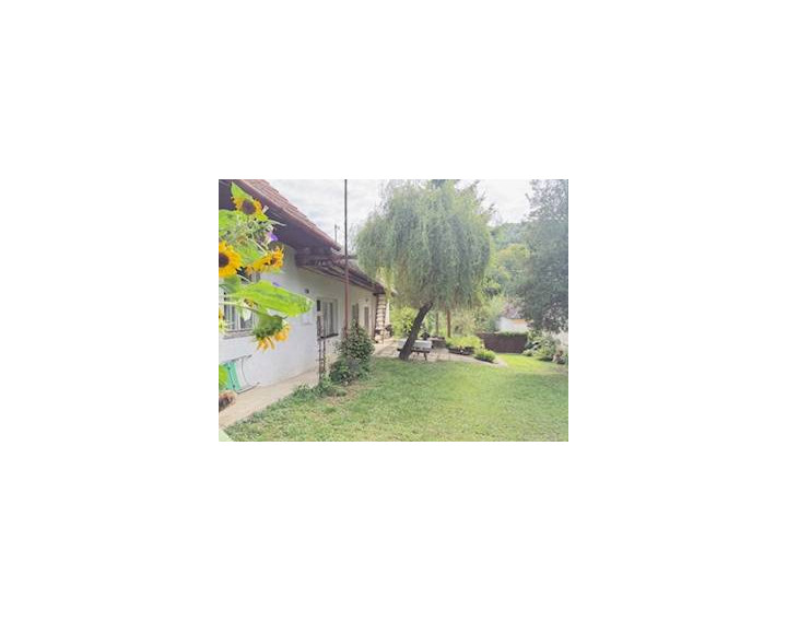 Rodinný dom (chalupa) na veľkom pozemku, Krivosúd - Bodovka