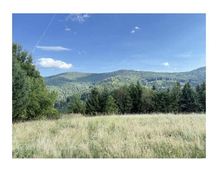 Na predaj Pozemok Oščadnica, Veľká Rača 1229 m2