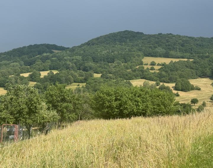 Stavebný pozemok, Horná Súča Dúbrava, 920 m2