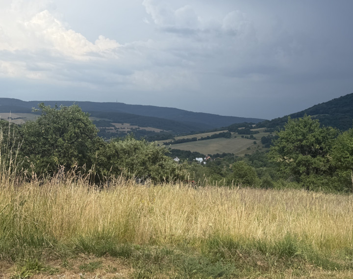 Veľký lesný pozemok vhodný na alternatívne bývanie, Myjava, 2 ha
