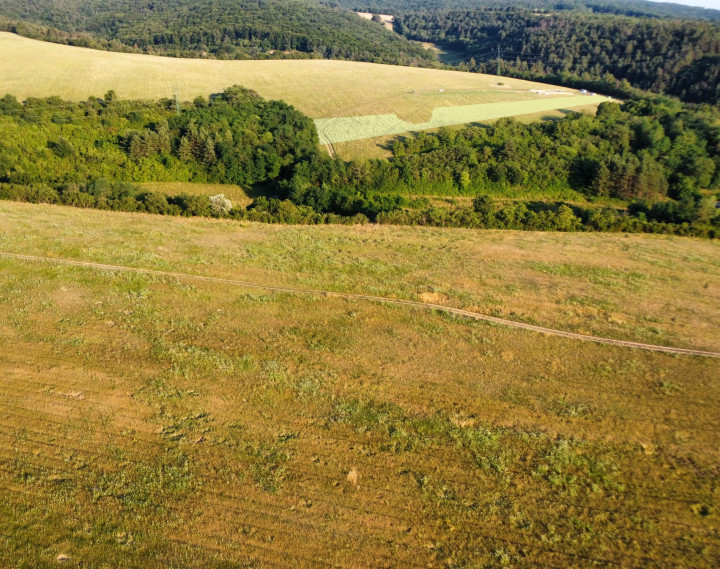 Na predaj investičný pozemok s výmerou 6 672 m² v obci Banka pri Piešťanoch