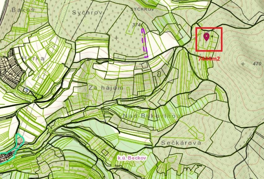 Pozemok - trvalý trávnatý porast a lesný pozemok, Beckov