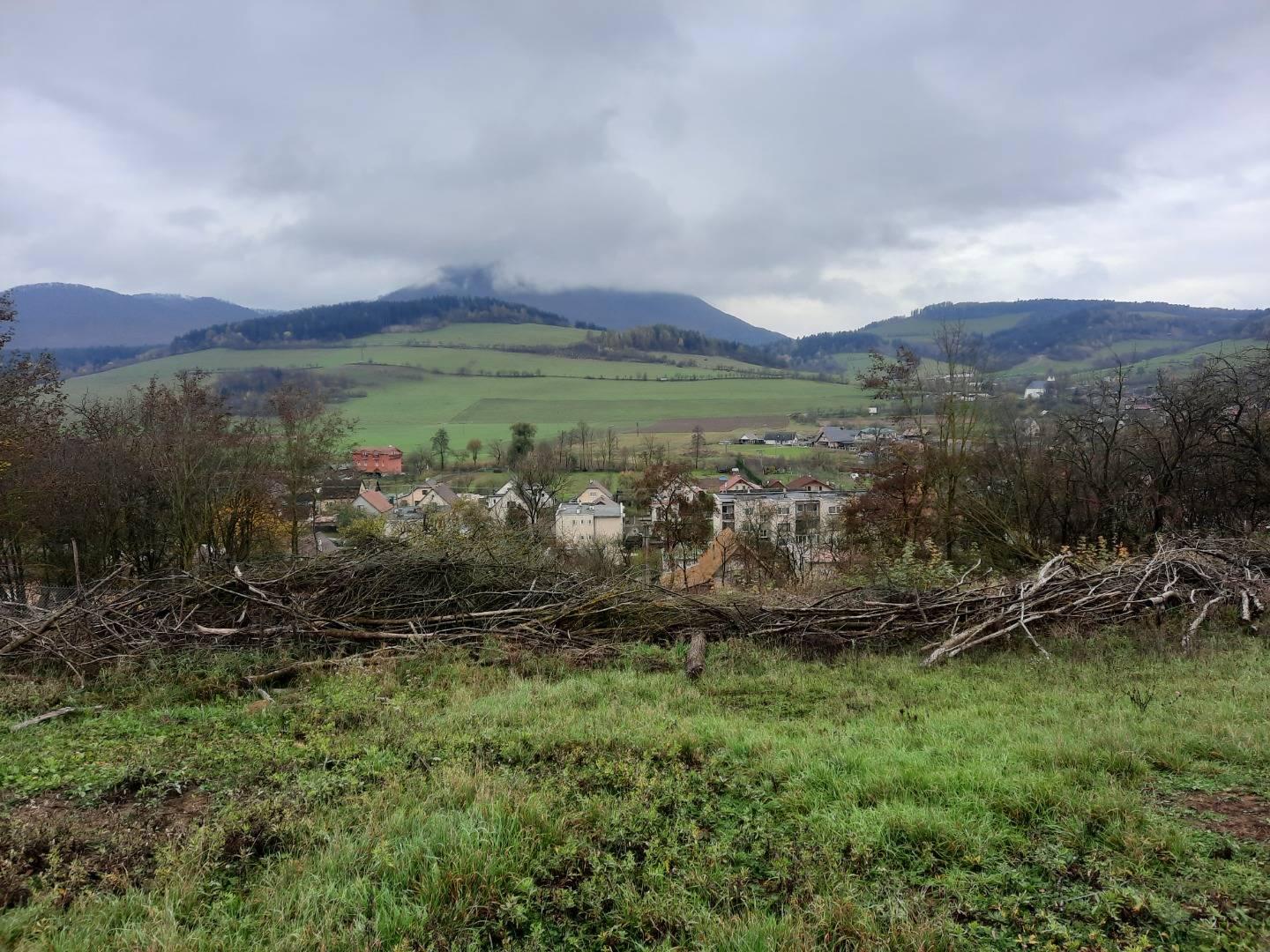 pozemok 4770m2 v obci Dolný Lieskov