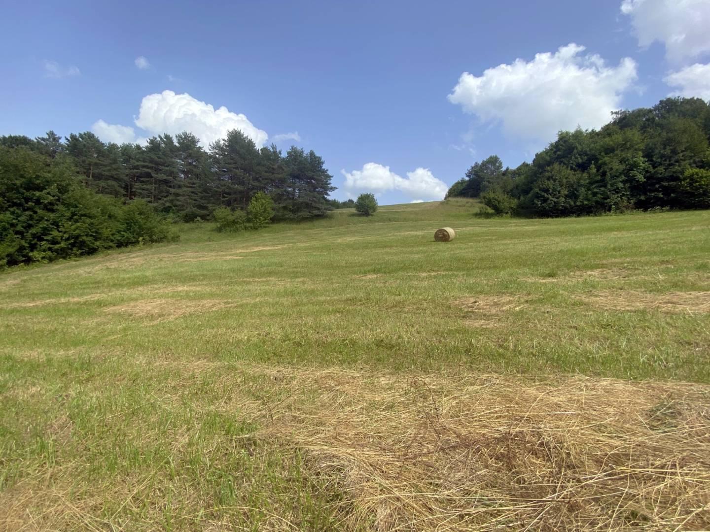 Veľký rekreačný pozemok s chatkou, Streženice (Púchov), 2400 m2