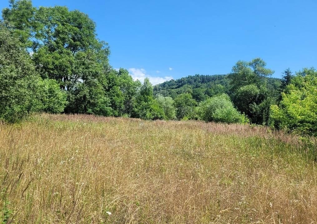 Veľký pozemok 1261 m2 v obci Dohňany