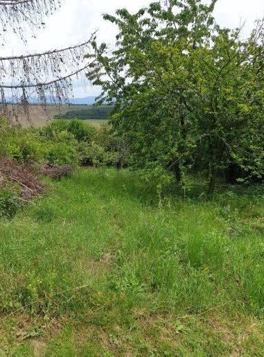 Záhrada 411 m2 v chatovej oblasti Šípkové