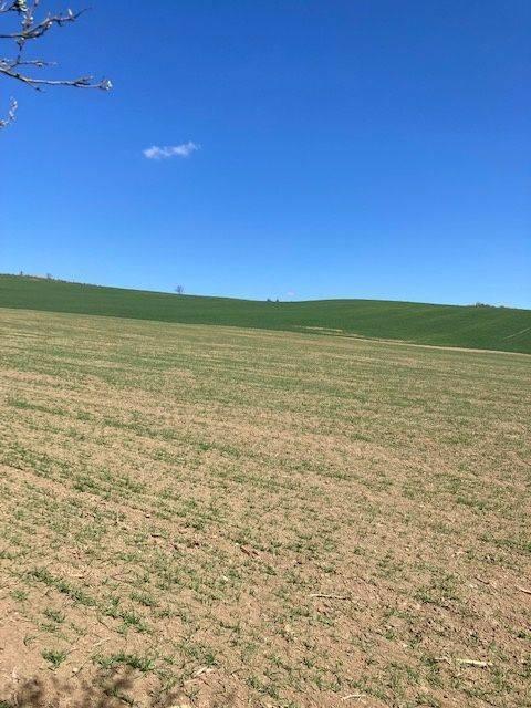 Na predaj Orná pôda Ladce, 1500 m2