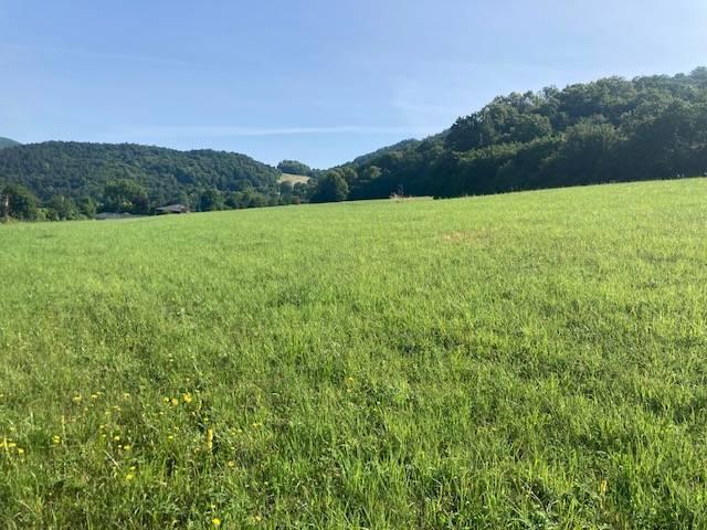 Na predaj Stavebný pozemok Nimnica, 700 m2