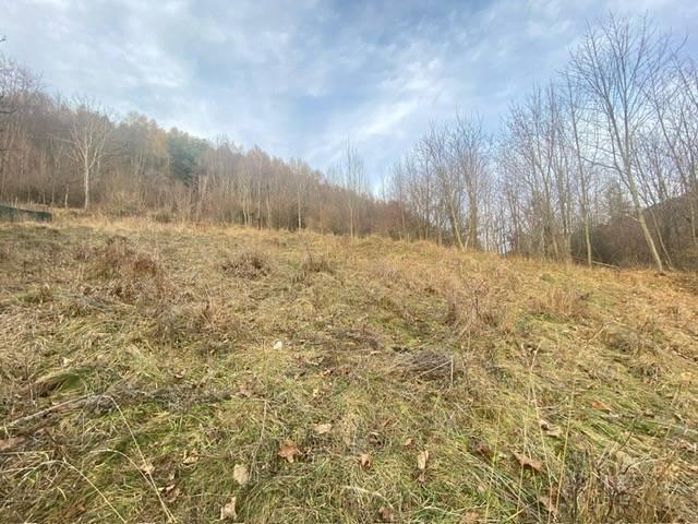 KRÁSNY rekreačný pozemok 709 m2 Zliechov - SUPER CENA