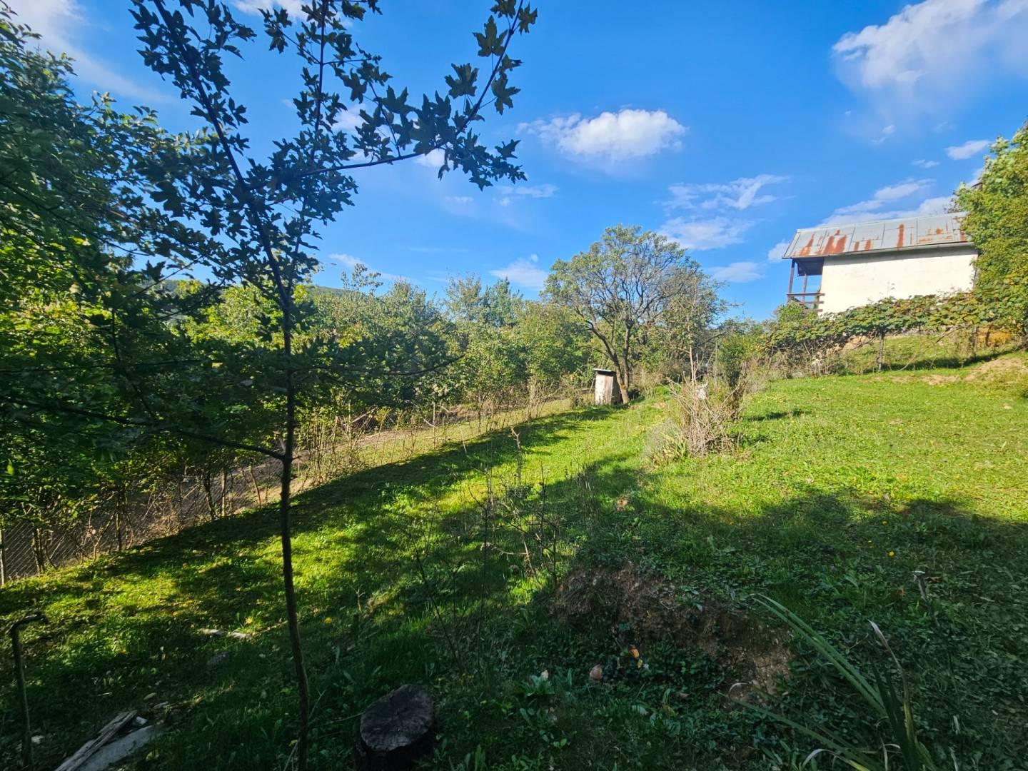 Predaj záhrady, Trenčín