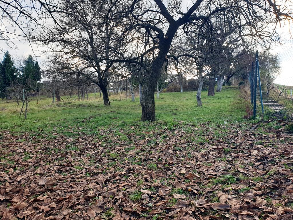 Na predaj záhrada o výmere 784 m2 - Nové Mesto n/V