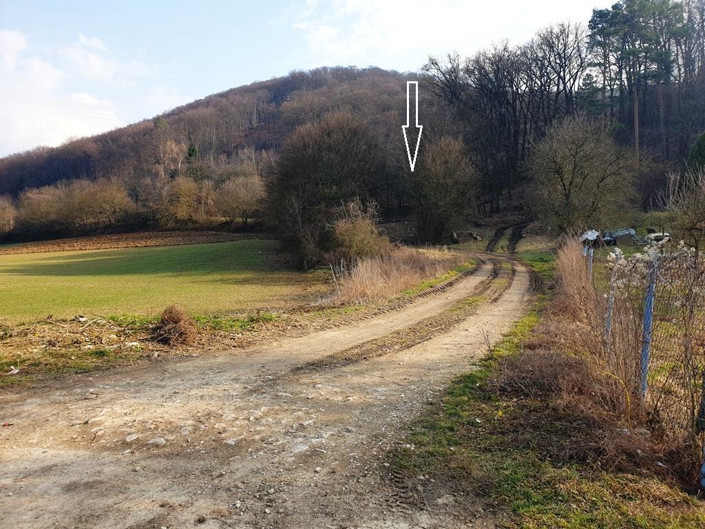 Rekreačný pozemok pri lese 1 139 m2 - možnosť výstavby chatky - Trenčianske Bohuslavice