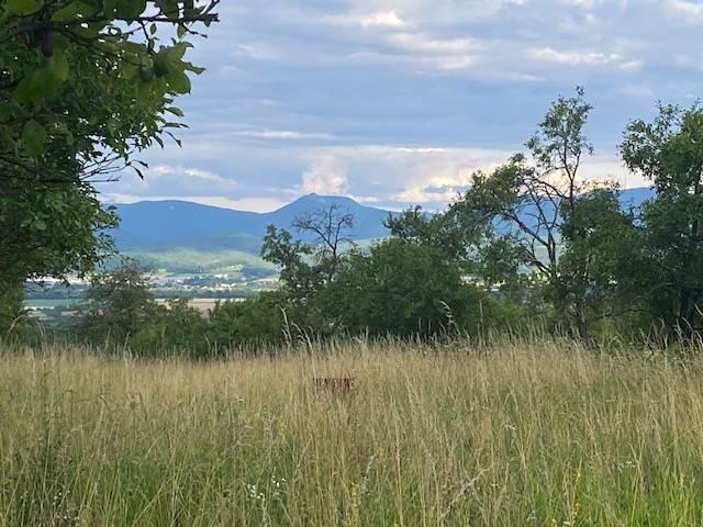 Pozemok s krásnym výhľadom - 3260 m2 - Slávnica (Tlstá hora)