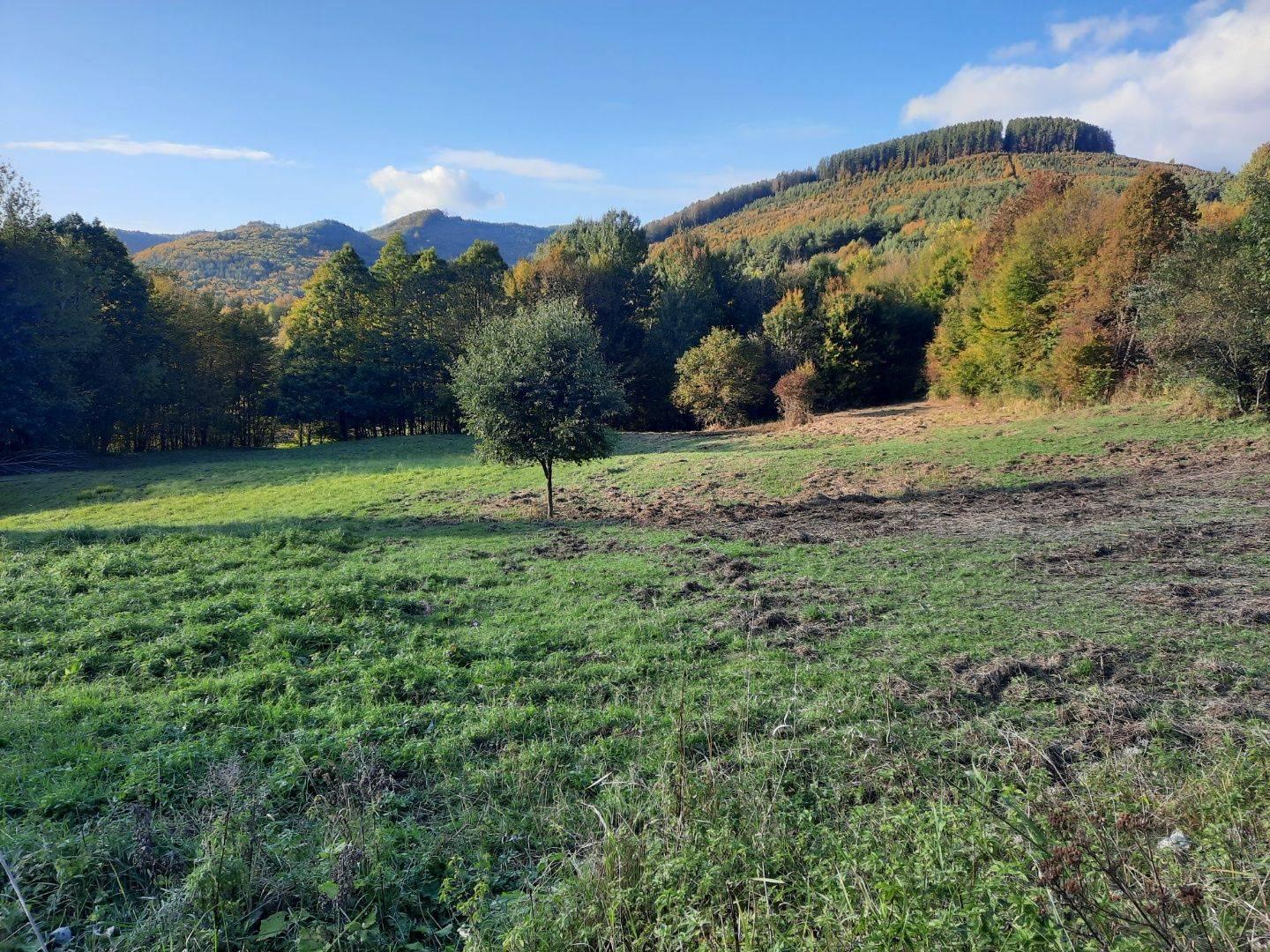 Veľký rekreačný pozemok v obci Zubák,  3611 m2