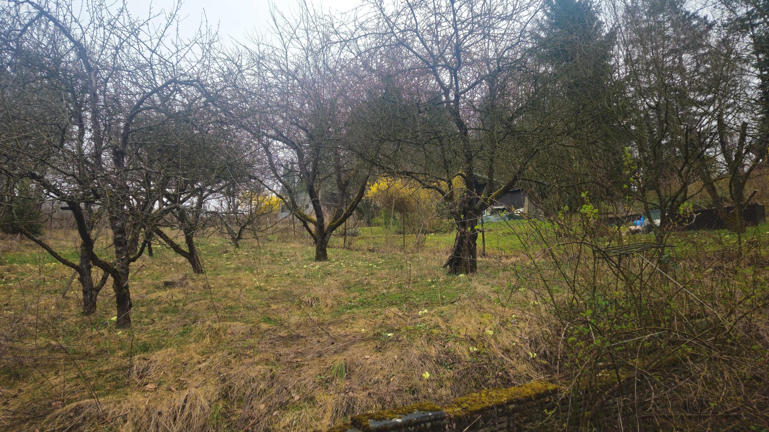 Chatka so záhradou - 758 m2 Trenčianske Teplice