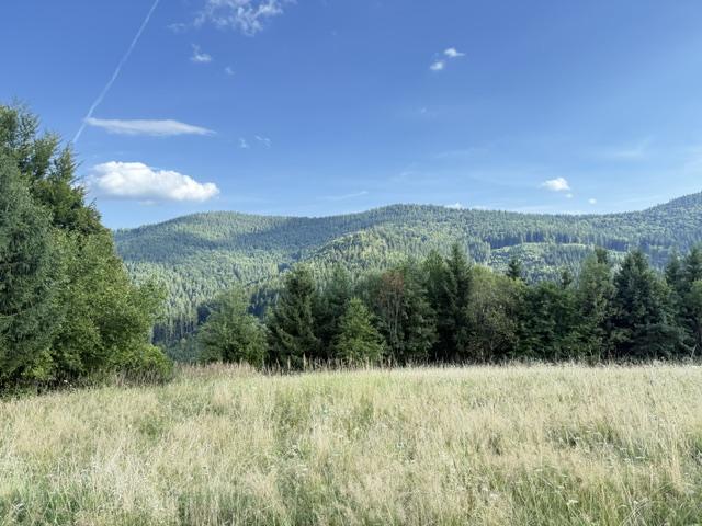 Na predaj Pozemok Oščadnica, Veľká Rača 1229 m2