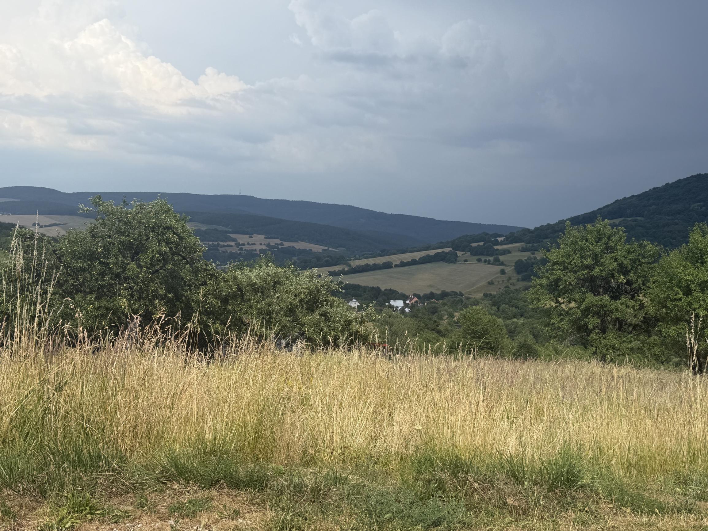 Veľký lesný pozemok vhodný na alternatívne bývanie, Myjava, 2 ha