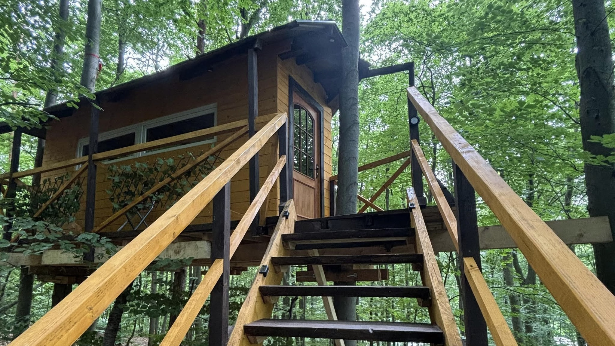 PREDAJ: Unikátny domček v korunách stromov (Treehouse) 35m2 s veľkým pozemkom – Trenčianske Teplice