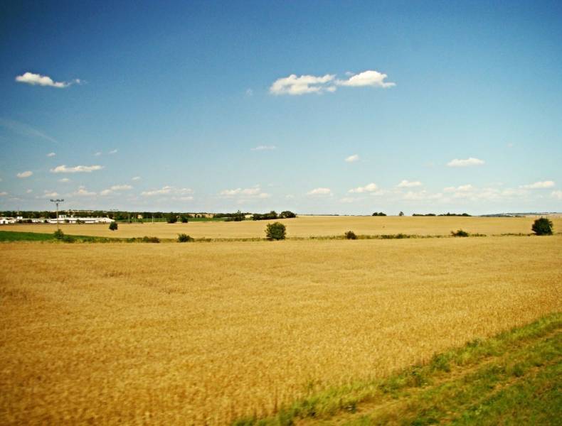 1663557_1.jpg